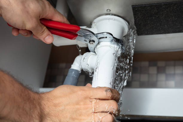 Best Carpet water damage restoration  in Soldotna, AK