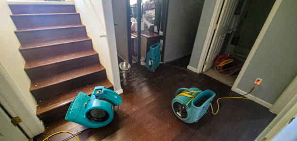 Best Ceiling water damage repair  in Soldotna, AK
