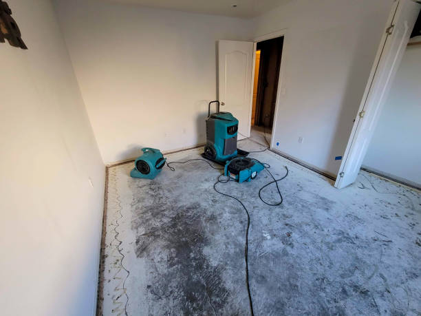 Best Flooded house restoration  in Soldotna, AK