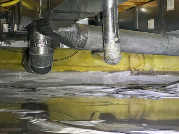 Best Flooded house restoration  in Soldotna, AK