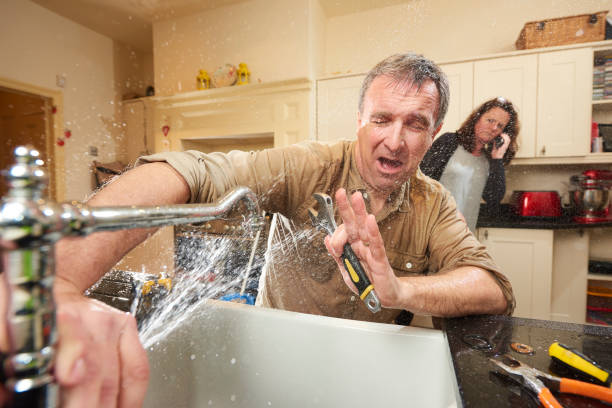 Best Water damage restoration near me  in Soldotna, AK